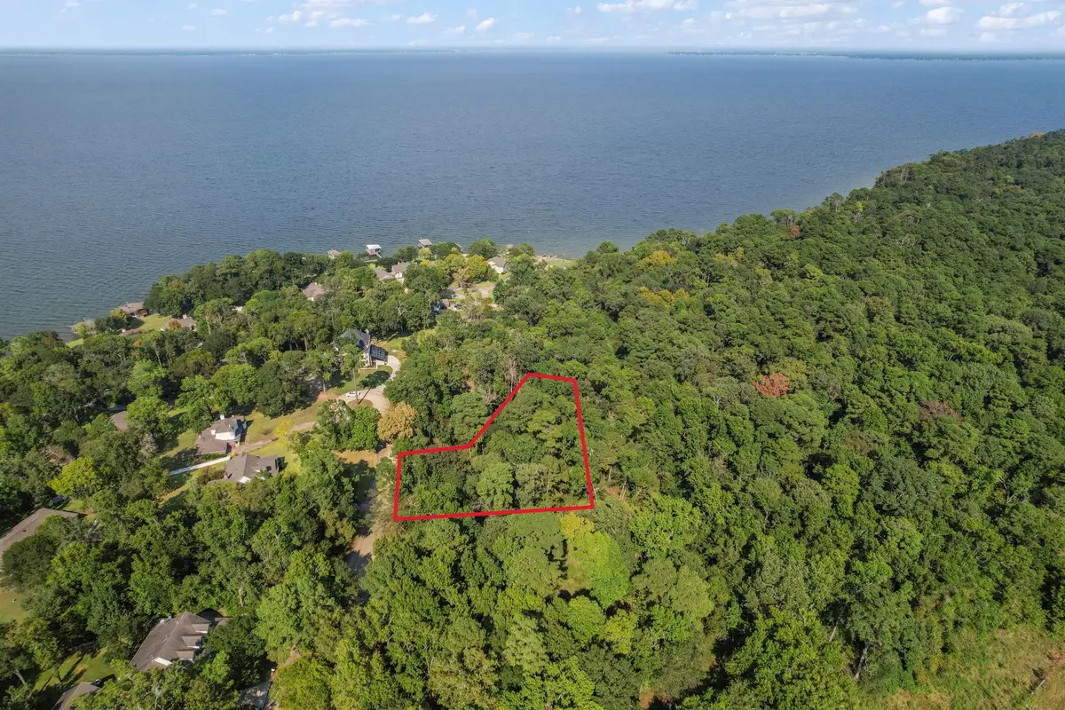 TBD Lake Oaks Cir #79-80, Coldspring, TX 77331 - Image #1