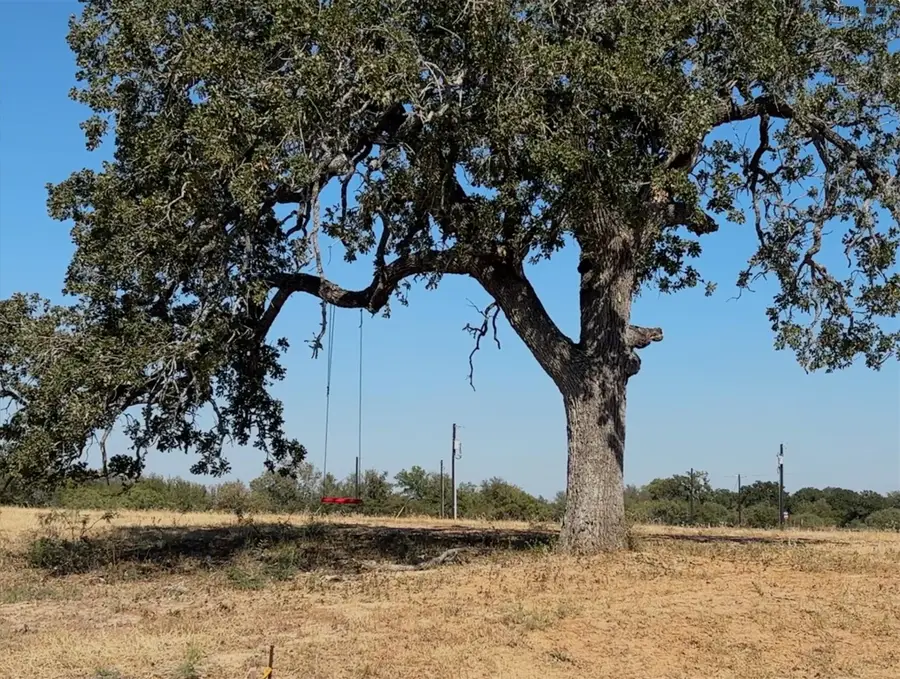 167 Palisade Rd, Elgin, TX 78621 - #3