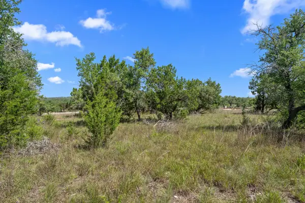 32000 Mirela Ann Rd, Dripping Springs, TX 78620