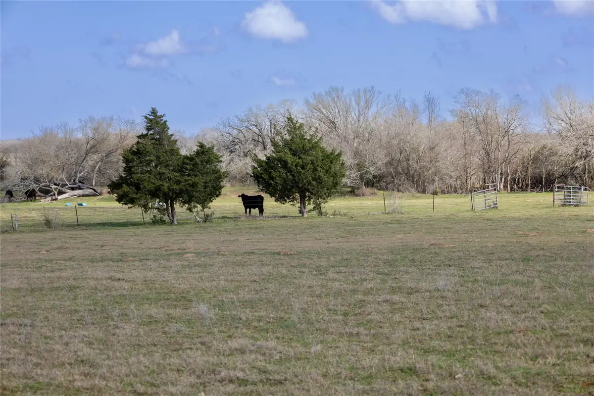Lot 7 Mule Creek Rd, Harwood Ottine, TX 78629 - Image #1