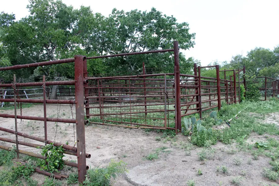 9411 Fm 86 Highway, Lockhart, TX 78644 - Image #3