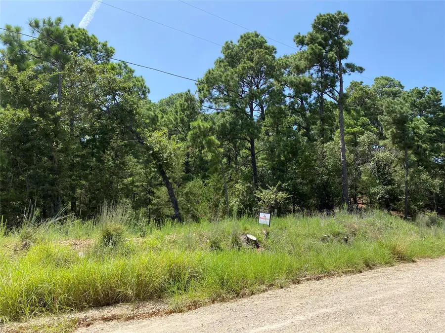 156 Molokini Dr, Bastrop, TX 78602 - Image #3