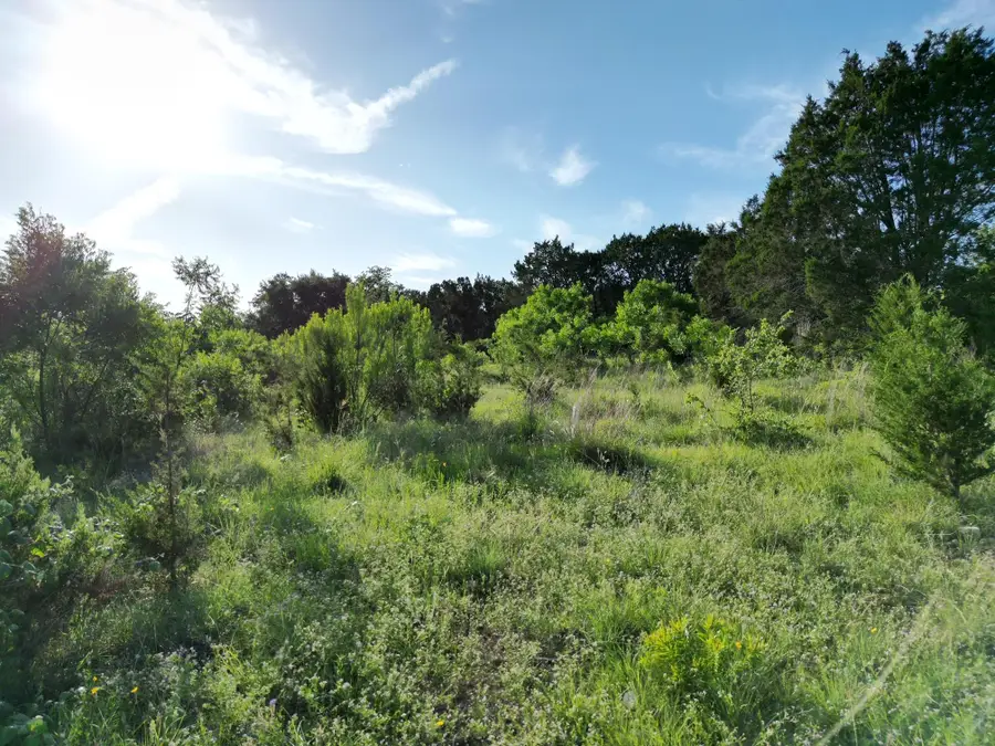 Lot 46 Serenity Dr, Bertram, TX 78605 - Image #3