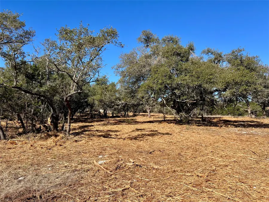 422 Patricia Rd, Georgetown, TX 78628 - Image #3