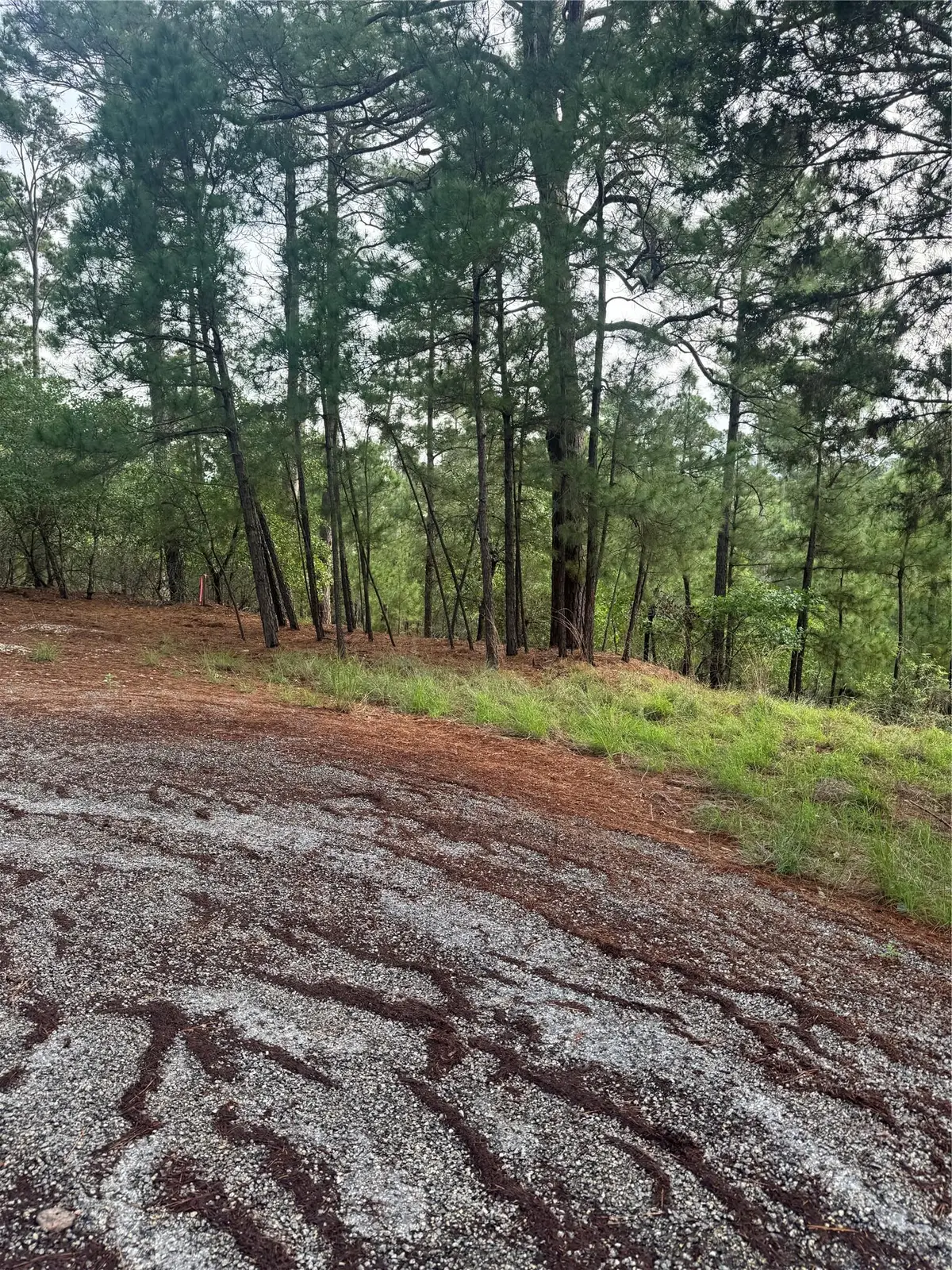 Lot 1492 Haleakala, Bastrop, TX 78602 - Image #1