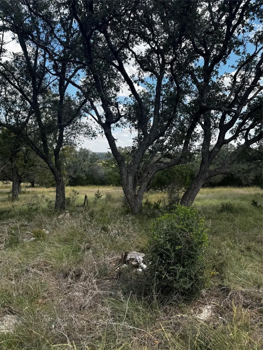 LOT 89 Whitetail Trail, San Saba, TX 76877 - Image #2