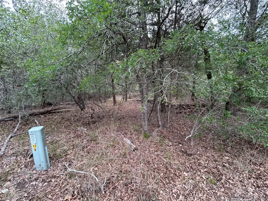 Lot 54 Rick Rd, La Grange, TX 78945 - Image #3
