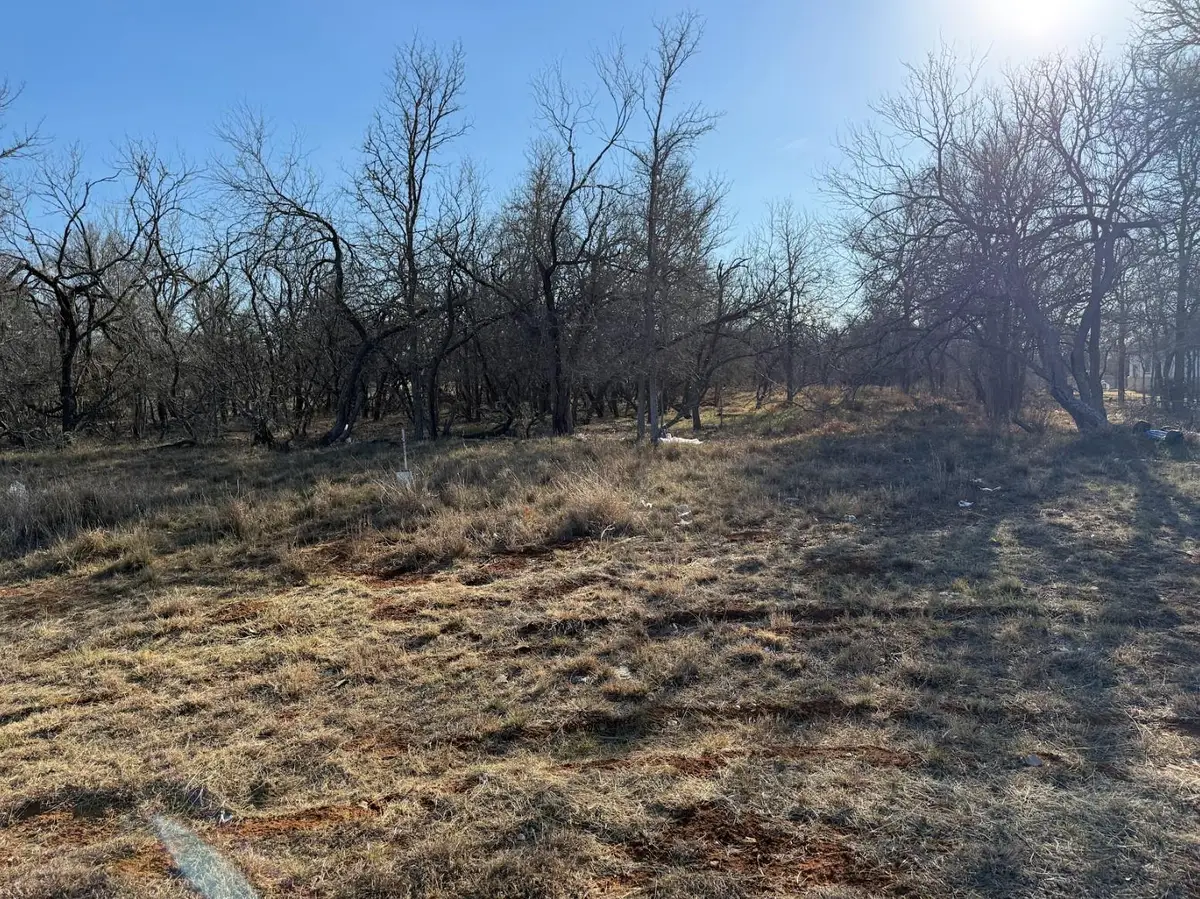 133 Chandler Cv, Cedar Creek, TX 78612 - #1