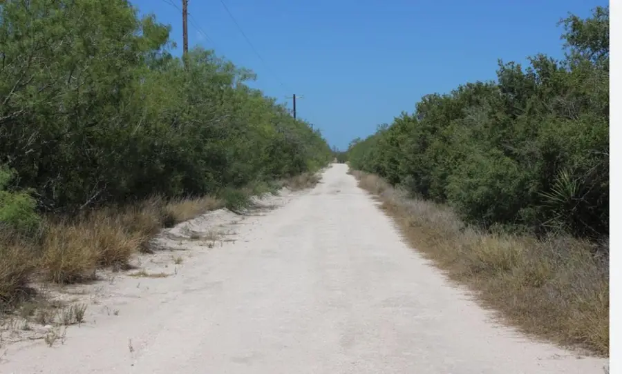 0 County Road 284 Rd, Benavides, TX 78341 - Image #2