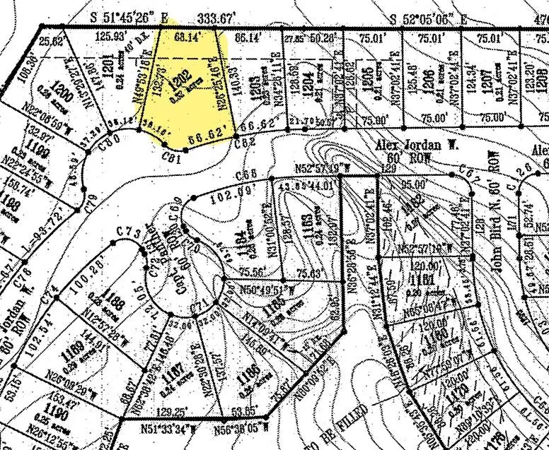 110 W Alex Jordan St, Blanco, TX 78606 - Image #1