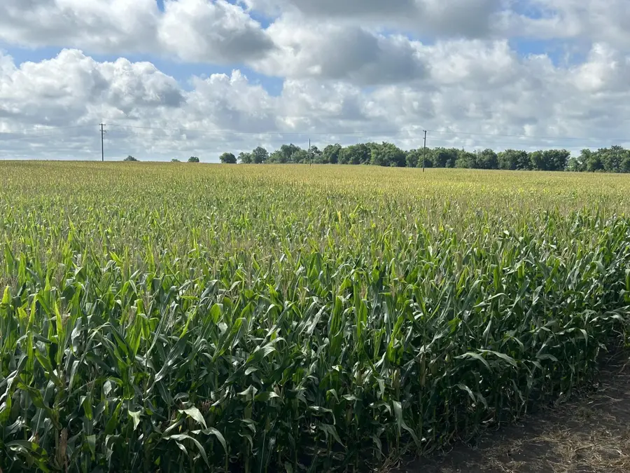 TBD Apple Cider Rd, Temple, TX 76501 - Image #2