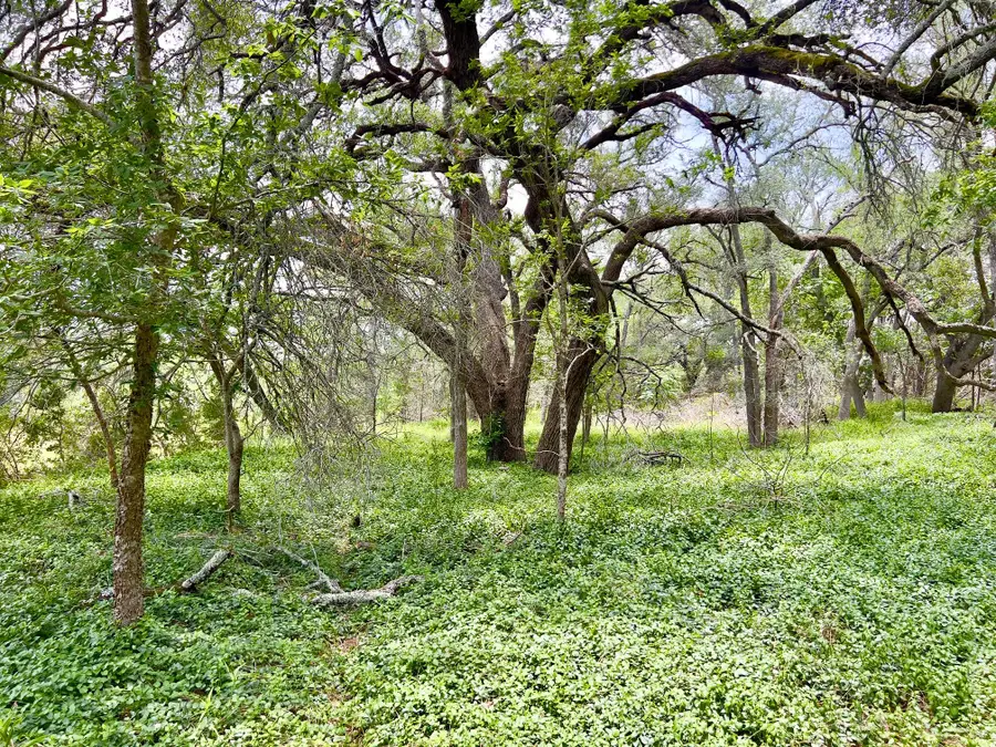 TBD Lot PT 19 Narrows Rd, Blanco, TX 78606 - #2