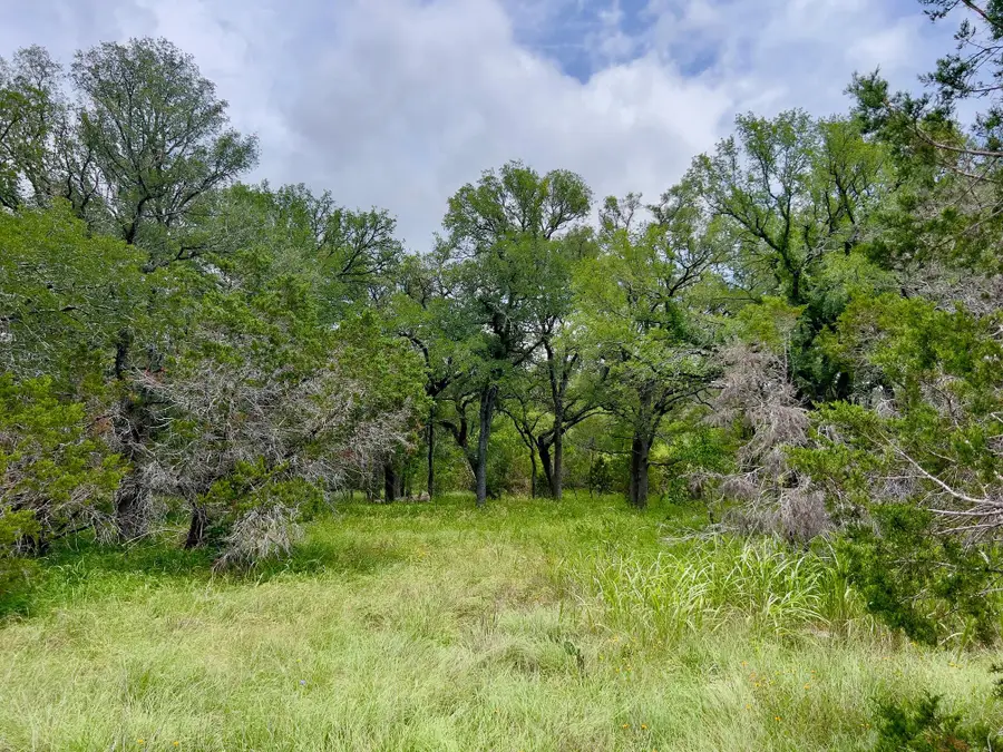 TBD Lot PT 19 Narrows Rd, Blanco, TX 78606 - #3