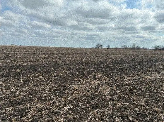 CR 3061 Lot 2 Highway, Thorndale, TX 76577 - #2