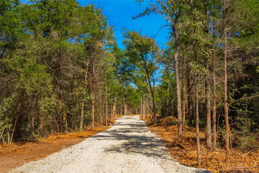 12582 Red Hill Rd, Hearne, TX 77859 - #3