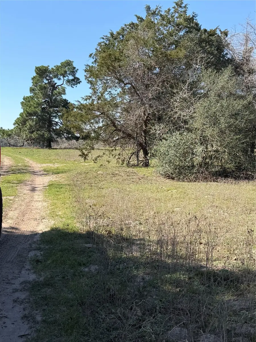 TBD Cedar Rock Rd, Rosanky, TX 78953 - #2