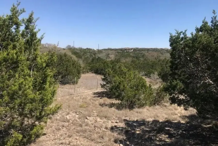 517 Left Fork Pl, Spring Branch, TX 78070 - Image #3