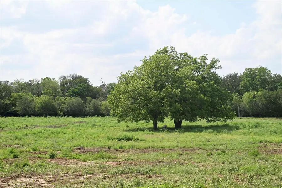 Lot 5 Valley Creek Dr, Cedar Creek, TX 78612 - #2