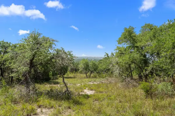 31834 Mirela Ann Rd, Dripping Springs, TX 78620