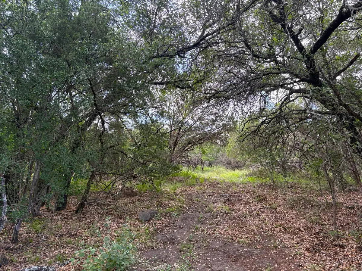 380 Sandy Mountain, Sunrise Beach Village, TX 78643 - Image #1