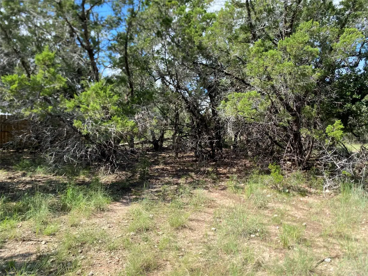 21105 Santa Rosa Ave, Lago Vista, TX 78645 - Image #1