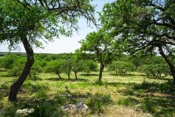 101 Mystic Overlook Dr, Dripping Springs, TX 78620