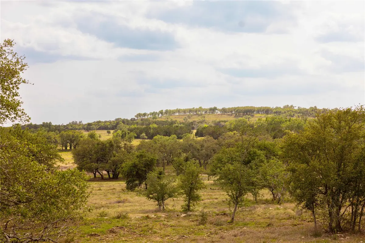 2551 Prochnow Rd, Dripping Springs, TX 78620 - #1