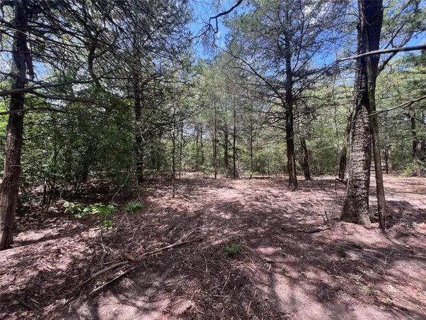(4.81 Acres) Lot 2 Pauline Ln, Caldwell, TX 77836