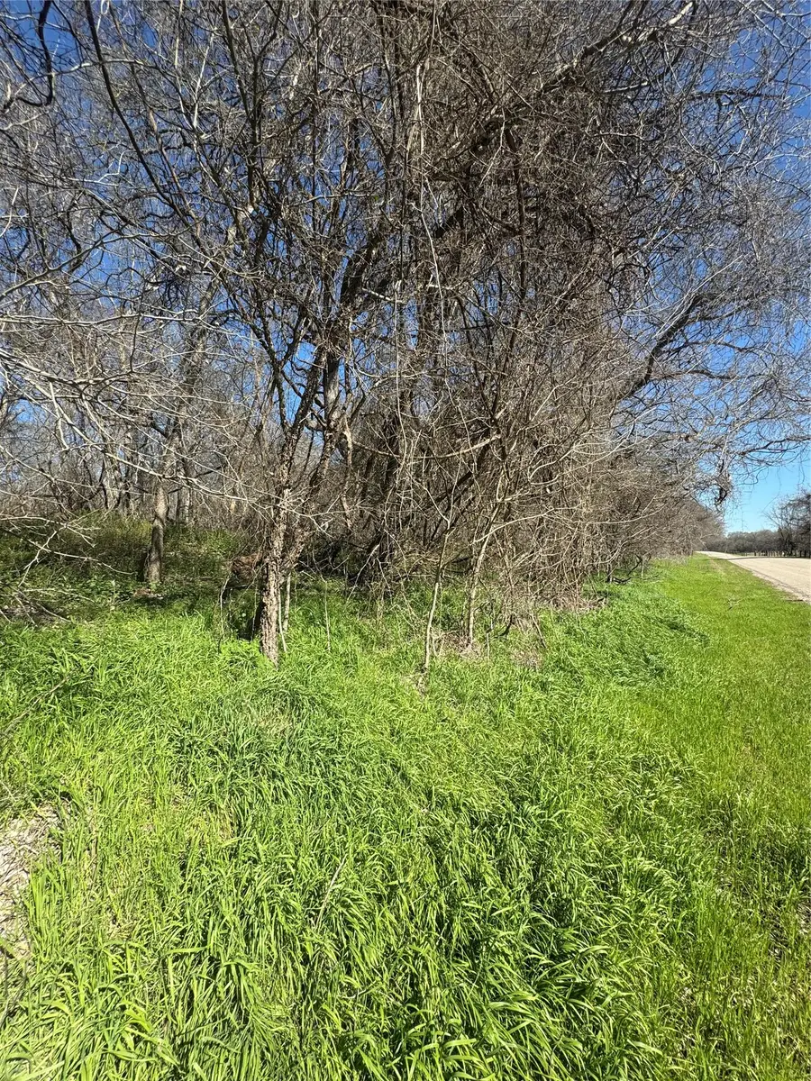 Lot 961 Riverside Dr, Bastrop, TX 78602 - Image #3