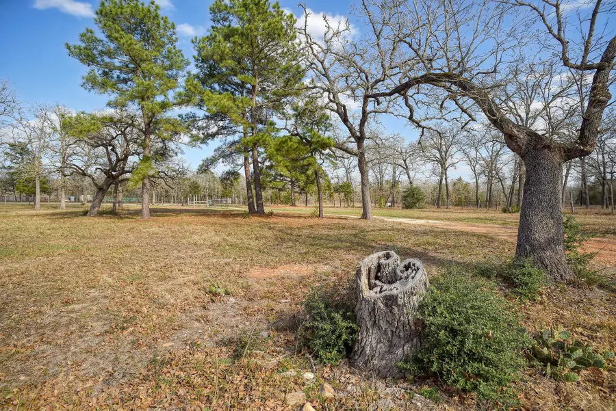 552 S Old Potato Rd, Paige, TX 78659 - #2
