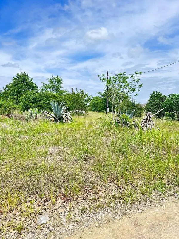 126 Wild Bird Loop, Smithville, TX 78957