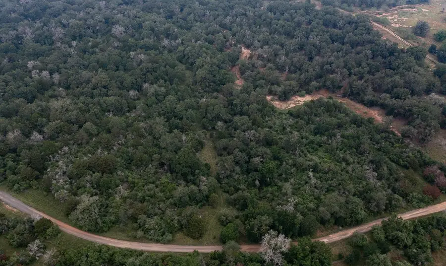 LOT 4 Private Road 4601, Waelder, TX 78959 - Image #2