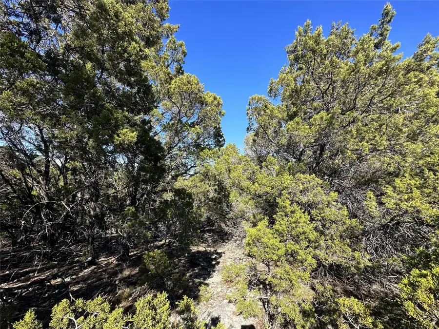 6402 Cimmaron Trl, Leander, TX 78645 - #2