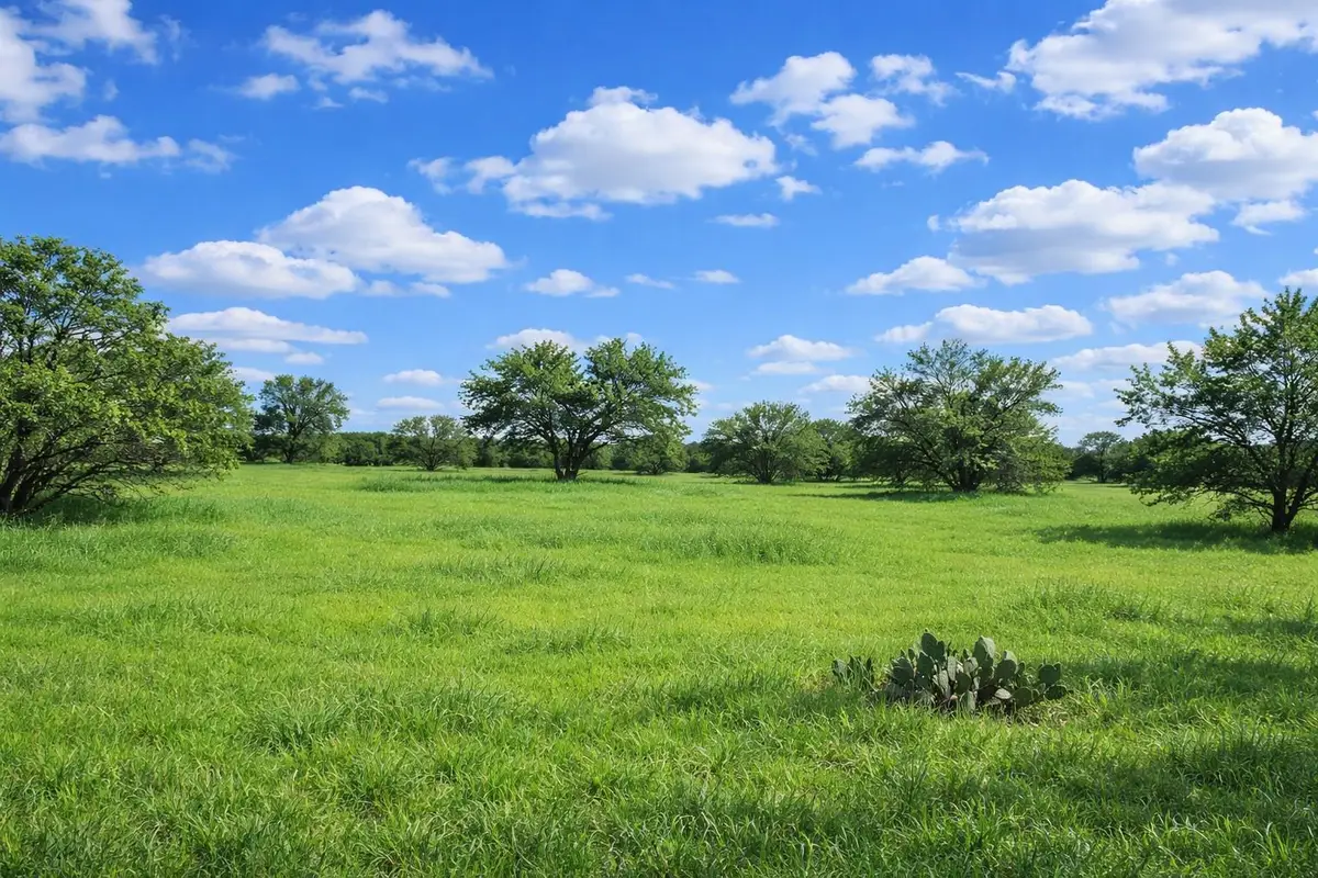 3809 Mormon Mill Rd, Marble Falls, TX 78654 - #1