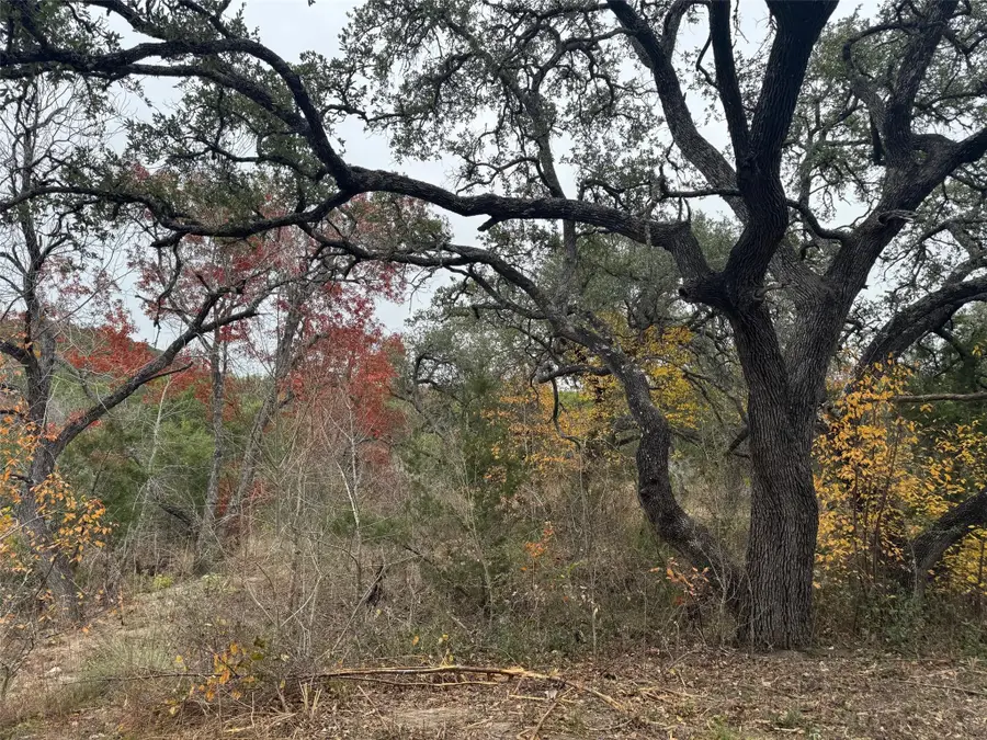 Lot 100 Montana Creek Xing, Marble Falls, TX 78654 - Image #3