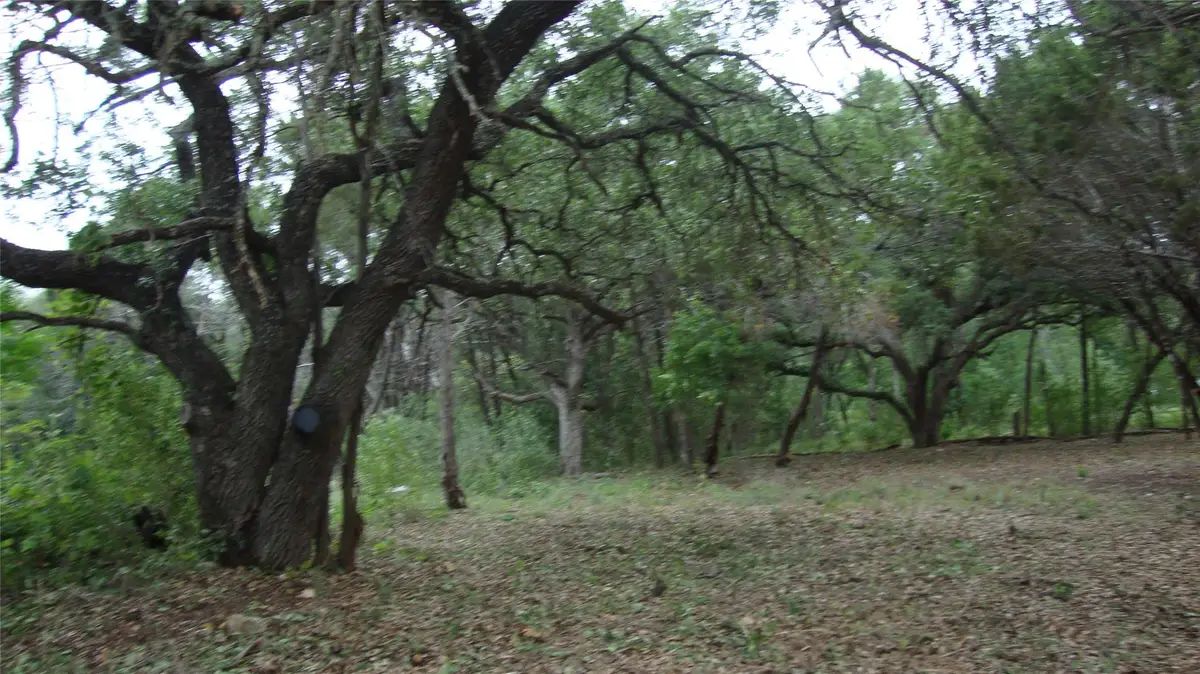 11112, 11106 Travis Dr, Jonestown, TX 78645 - #1