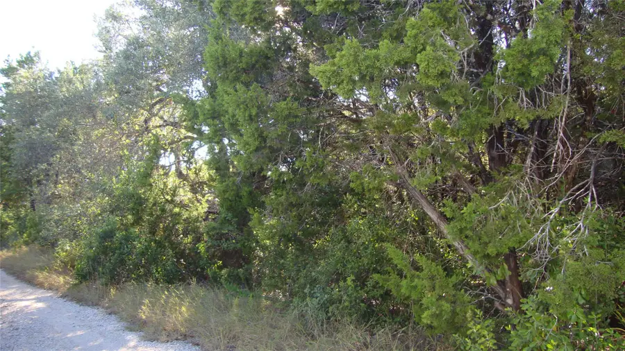 11112, 11106 Travis Dr, Jonestown, TX 78645 - Image #3