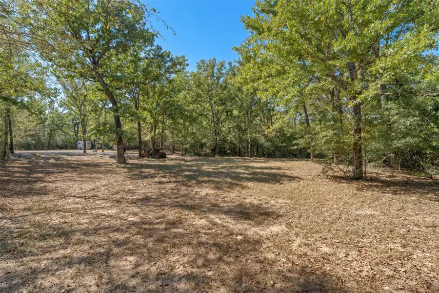 19597 Staceys Landing Rd, Thornton, TX 76687 - Image #3