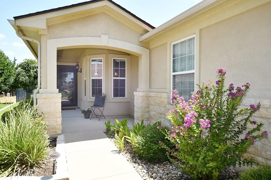 303 Salt Creek Ln, Georgetown, TX 78633 - #3