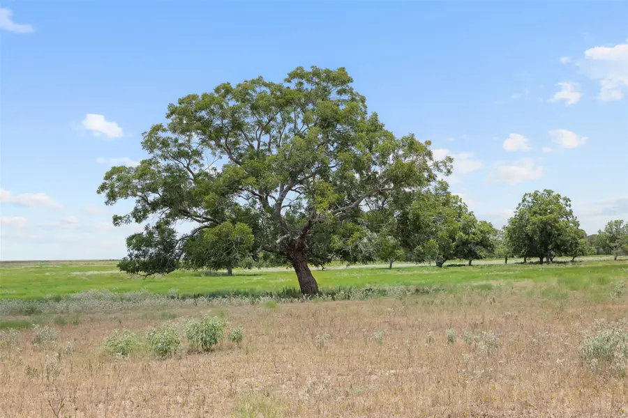 Tract 4 Fm 3158, Dale, TX 78616 - #3
