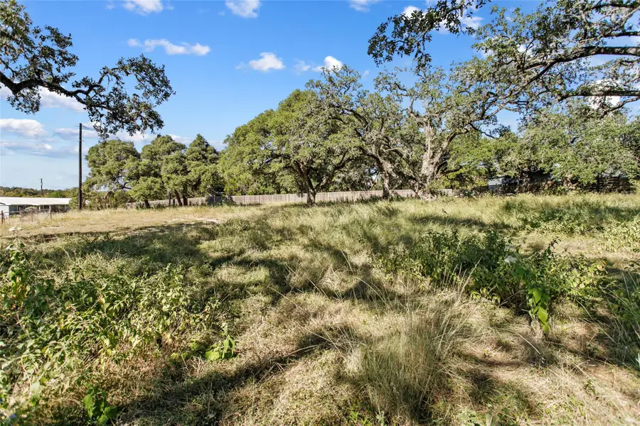 1420 Greenlawn Pkwy, Blanco, TX 78606 - #3
