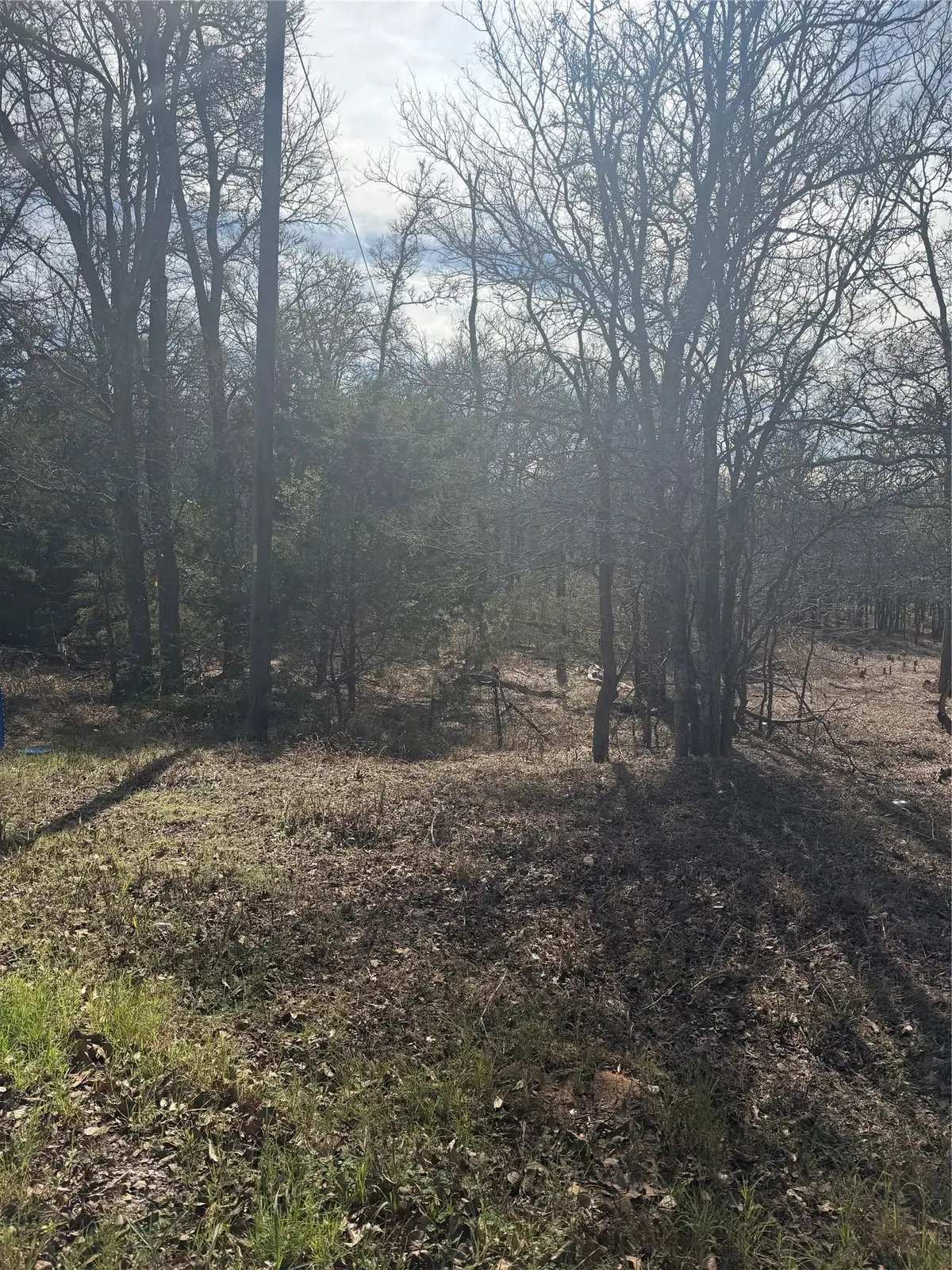 157 E Keanahalululu Ln, Bastrop, TX 78602 - Image #1