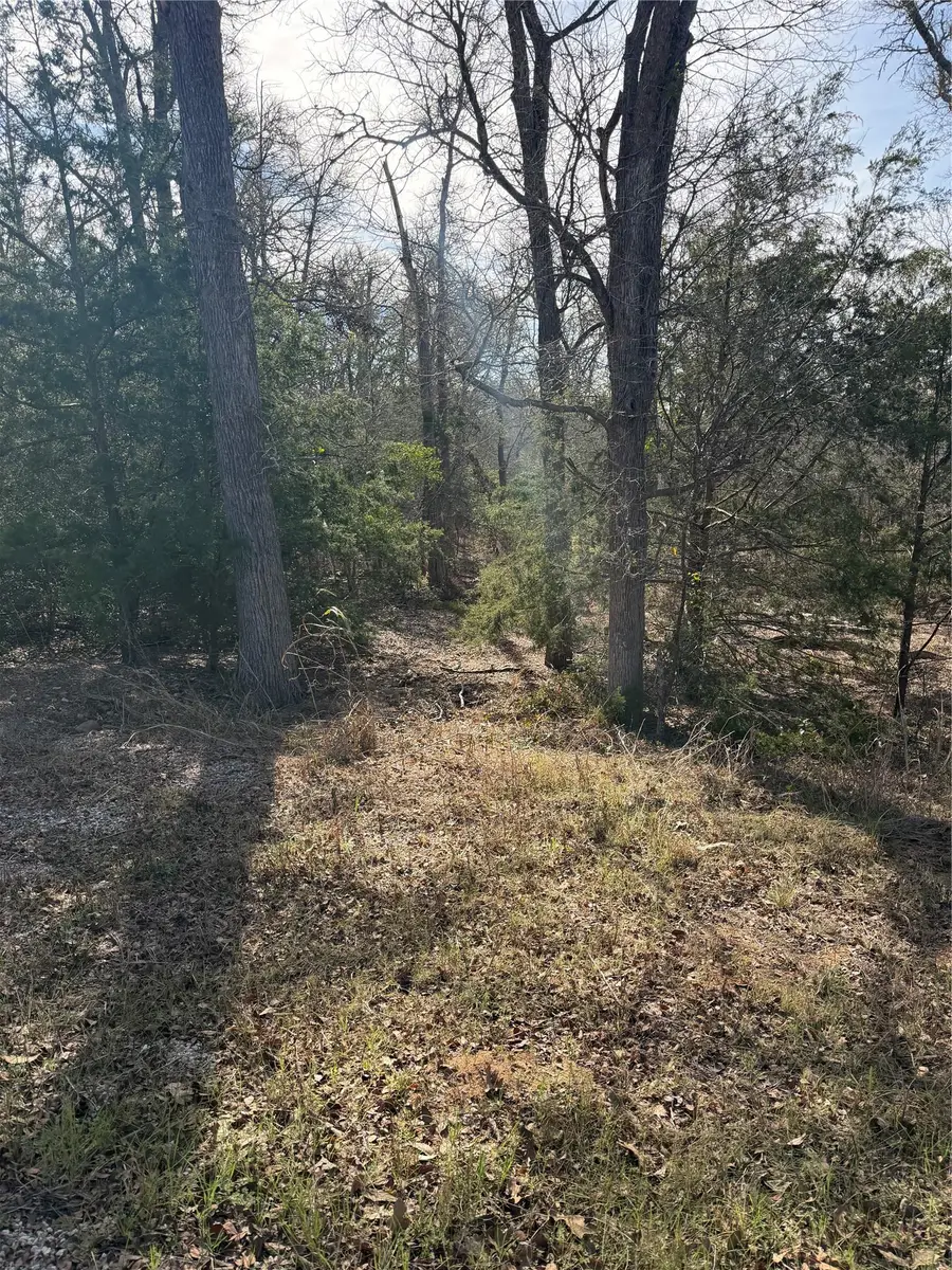 157 E Keanahalululu Ln, Bastrop, TX 78602 - Image #3