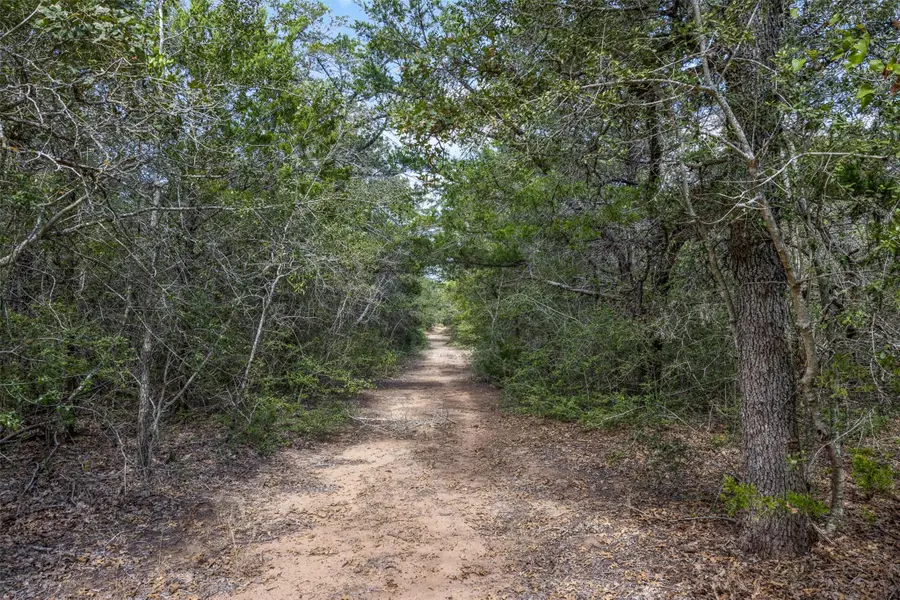 2025 Mule Creek Rd, Harwood, TX 78632 - #3