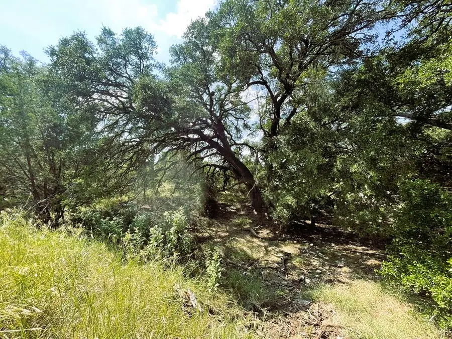 153 Live Oak Mott Dr, Goldthwaite, TX 76844 - Image #3