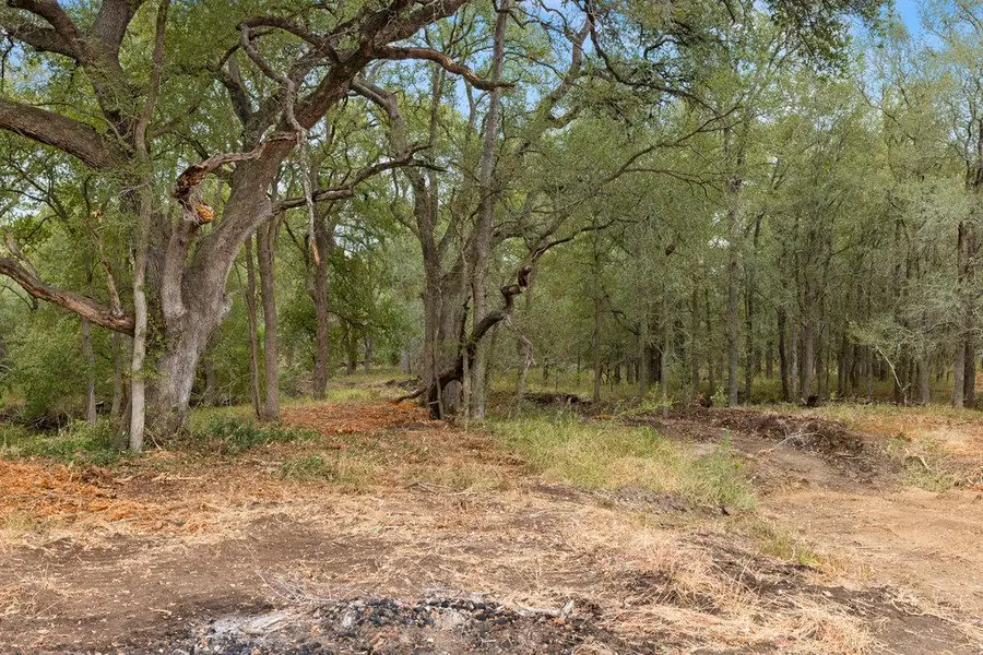 TBD Cr 171, Nixon, TX 78140 - #3