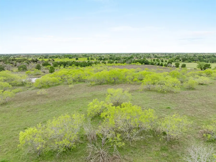 TBD (+/- 40ac) County Road 106, Caldwell, TX 77836 - Image #2