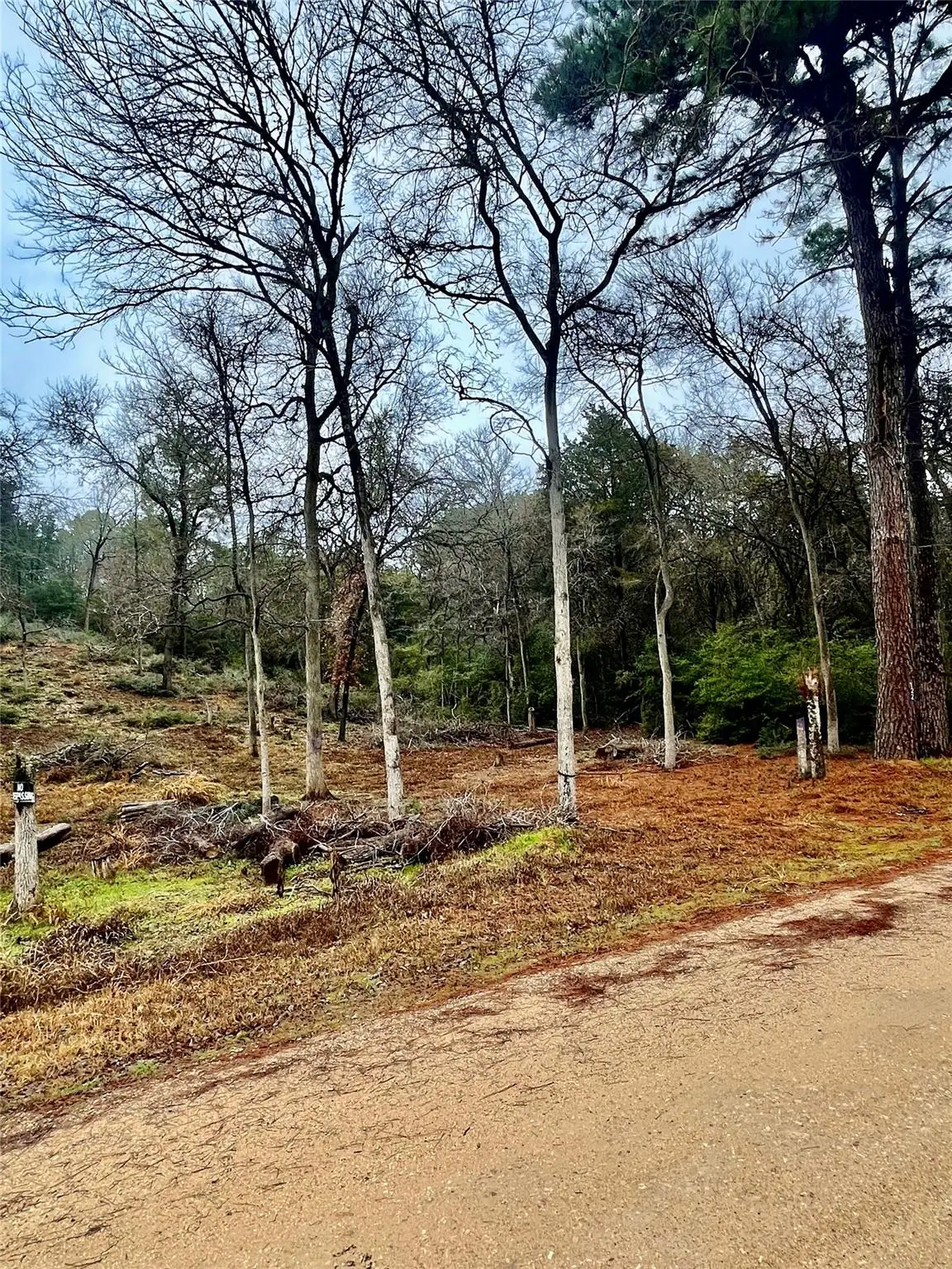 122 Helemano Dr, Bastrop, TX 78602 - Image #1