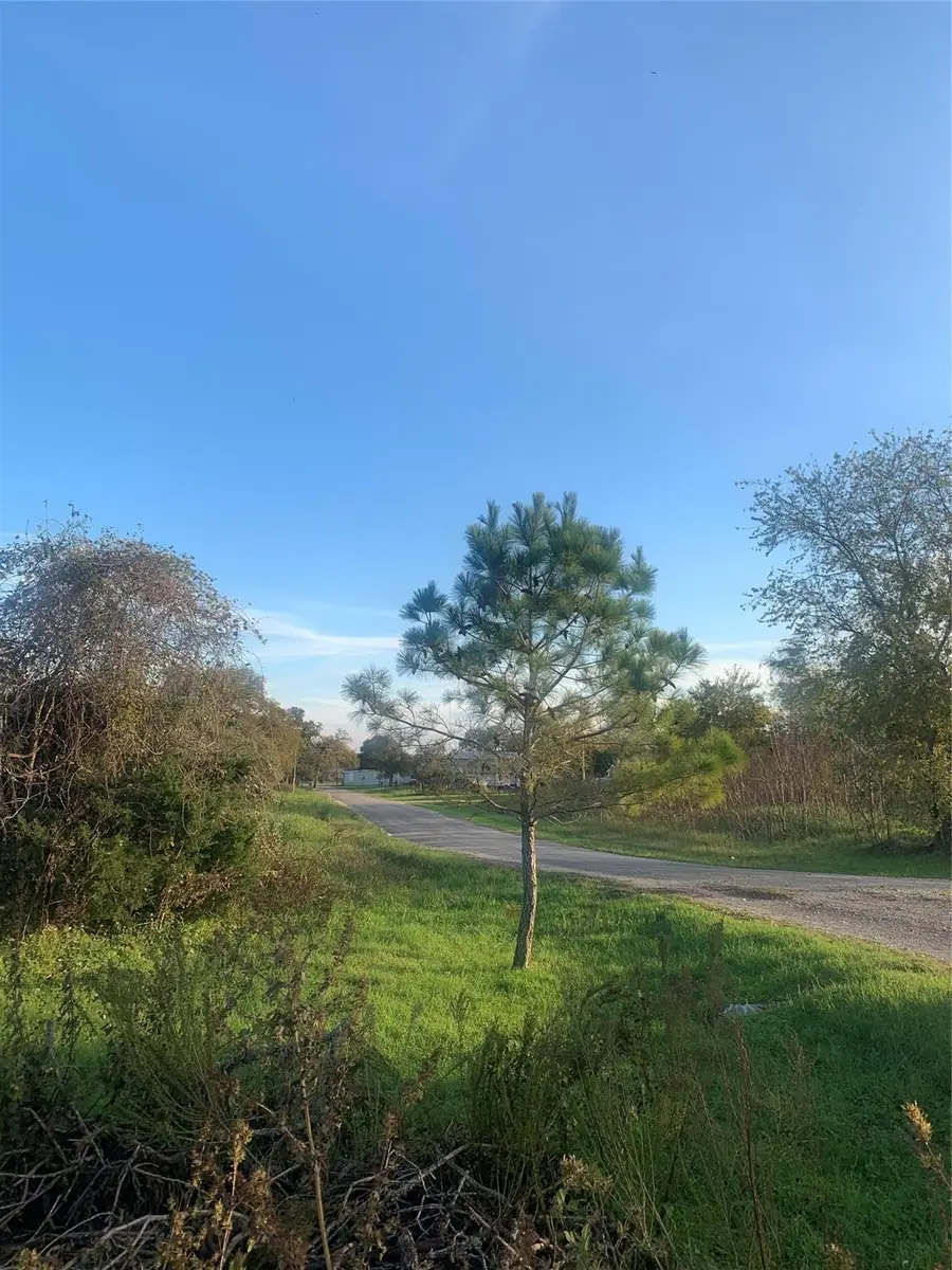 000 Main St, Rosanky, TX 78953 - #3