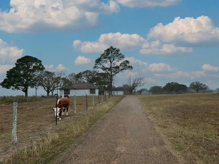 1696 E Fm 884, Yorktown, TX 78164 - Image #3